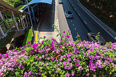 《多卡邦！怒之铁剑》Steam页面 发售日待定